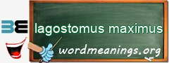 WordMeaning blackboard for lagostomus maximus